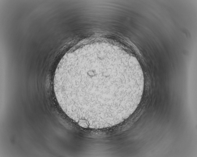 X0000111910257200909071203