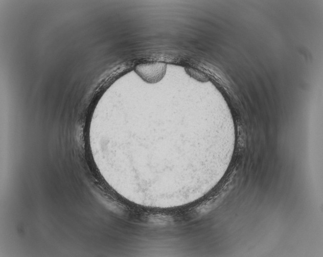X0000111910258200909071203
