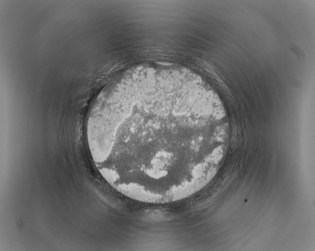 X0000111910259200909071203