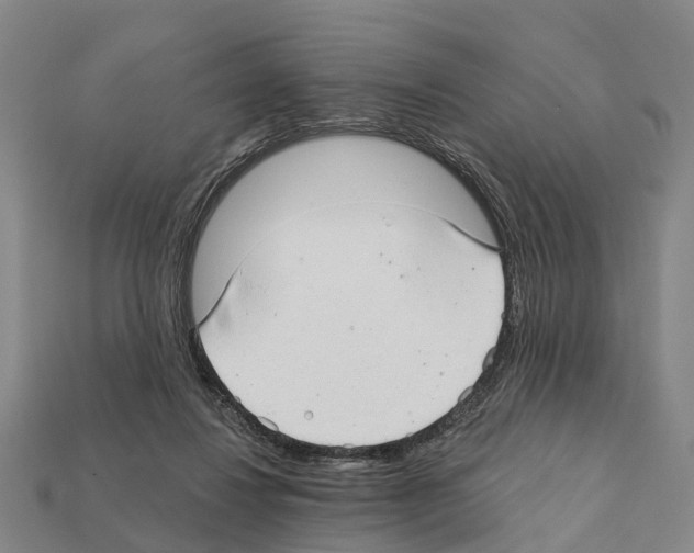 X0000111910260200909071203