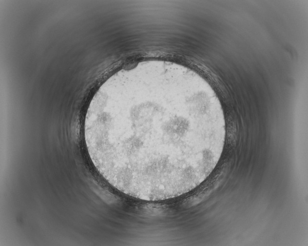 X0000111910261200909071203