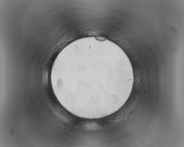 X0000111910262200909071203