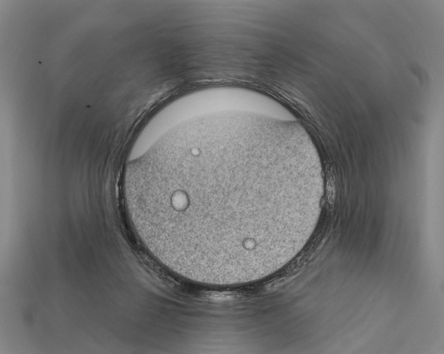 X0000111910264200909071203