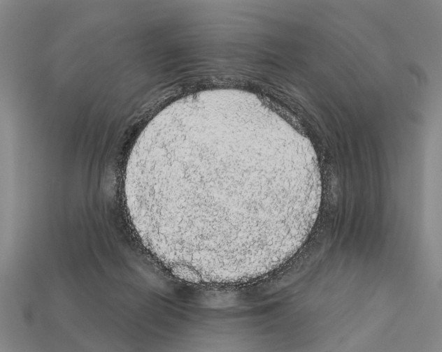 X0000111910266200909071203
