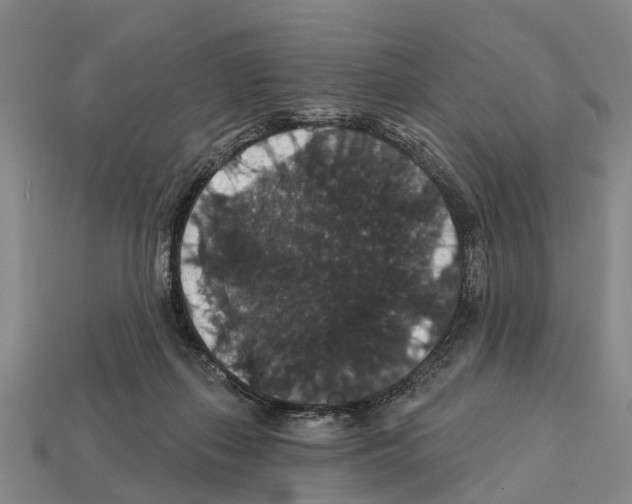 X0000111910267200909071203