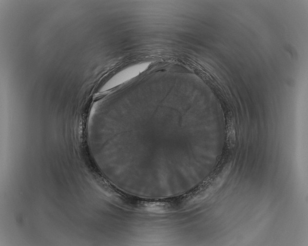 X0000111910268200909071203