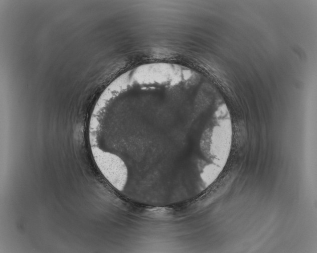 X0000111910269200909071203