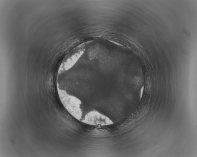 X0000111910270200909071203