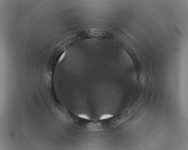X0000111910271200909071203