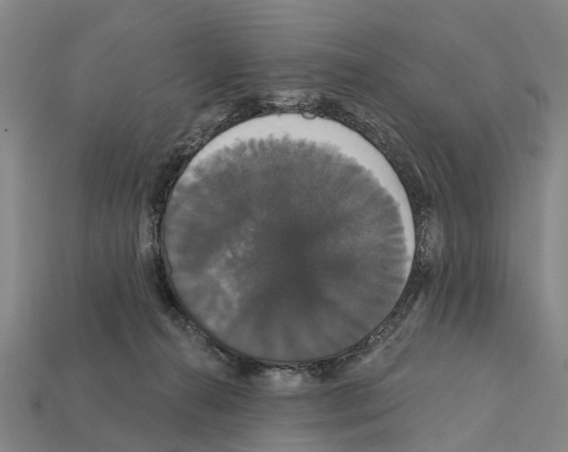 X0000111910272200909071203
