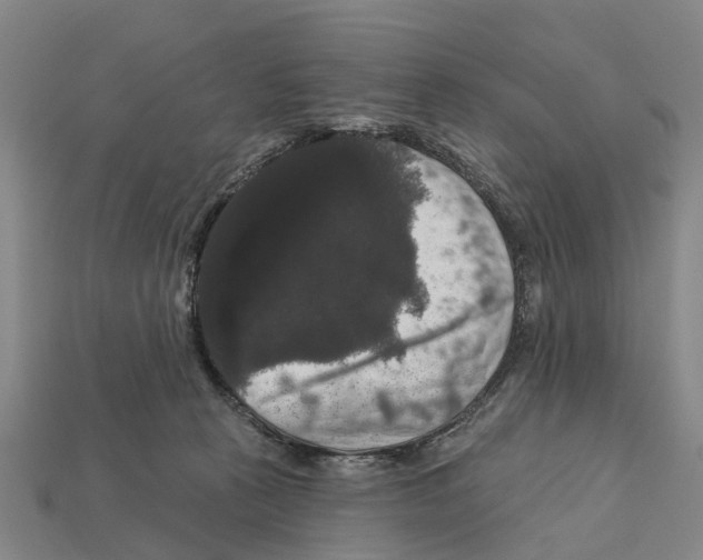 X0000111910273200909071203