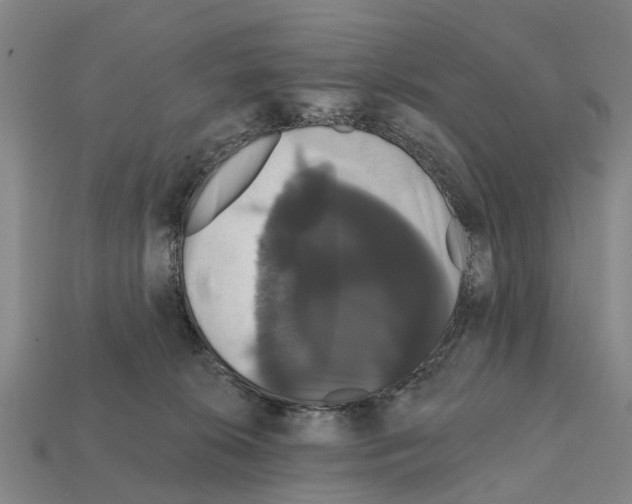X0000111910276200909071203