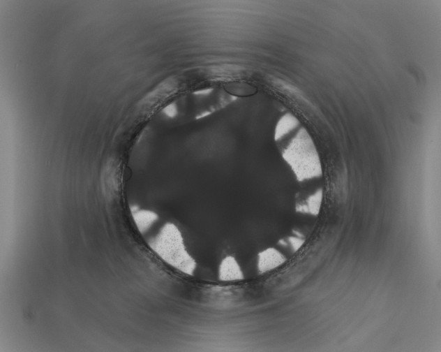 X0000111910277200909071203