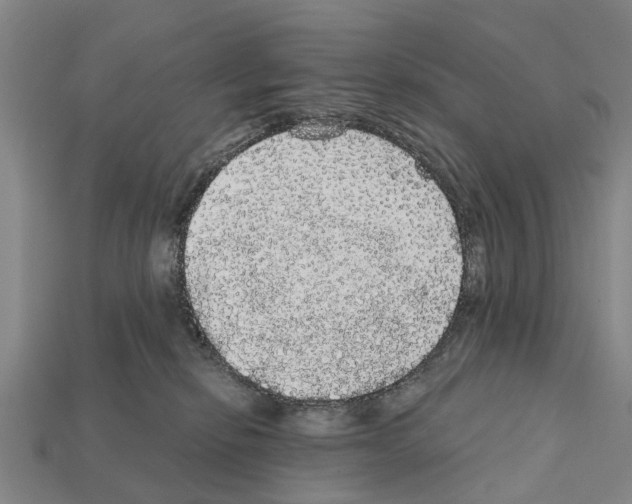 X0000111910278200909071203