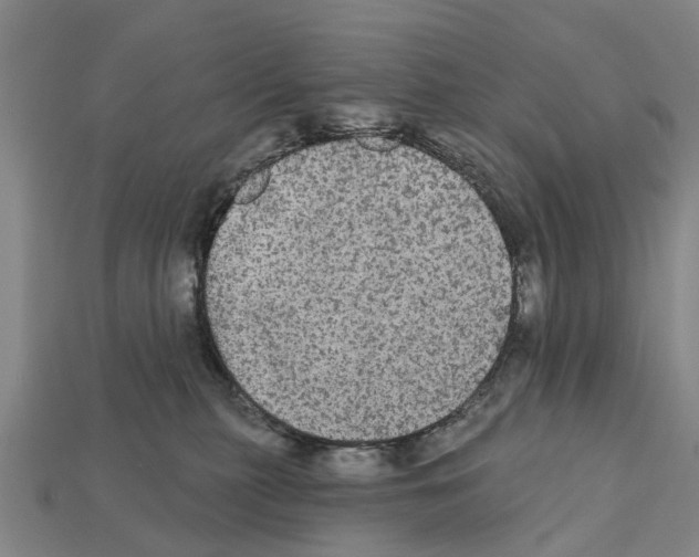 X0000111910279200909071203