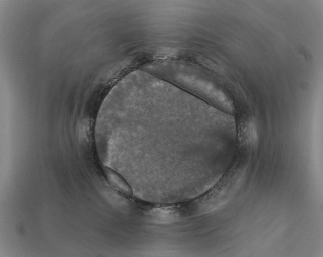 X0000111910280200909071203