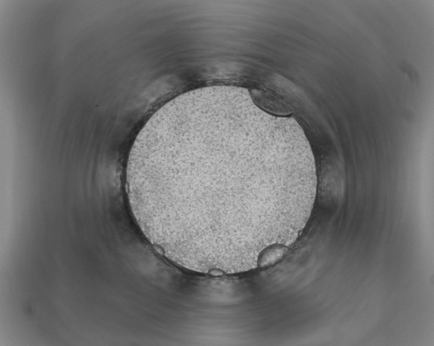X0000111910282200909071203