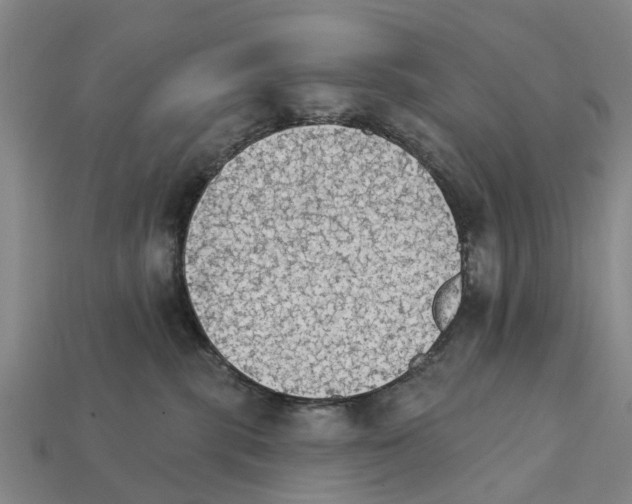 X0000111910283200909071203