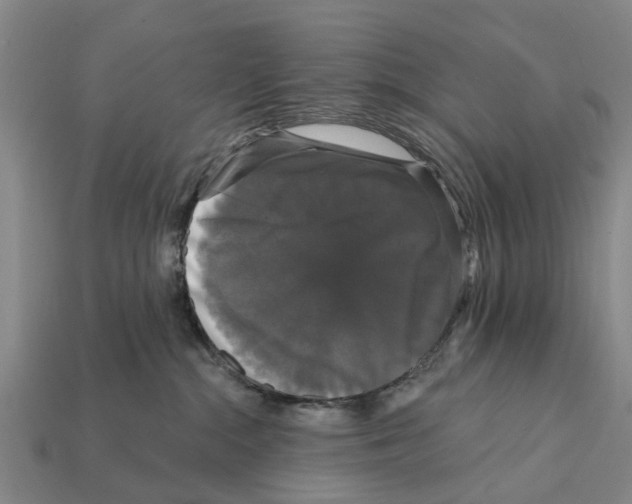 X0000111910284200909071203