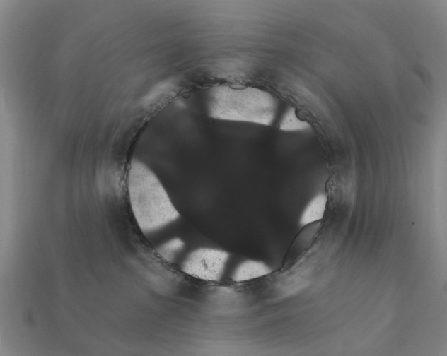 X0000111910285200909071203