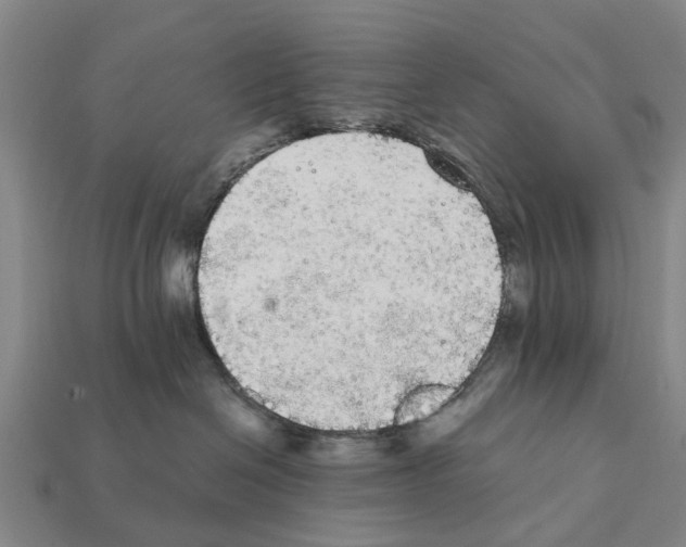 X0000111910286200909071203