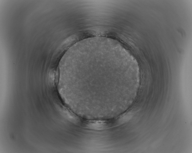 X0000111910288200909071203