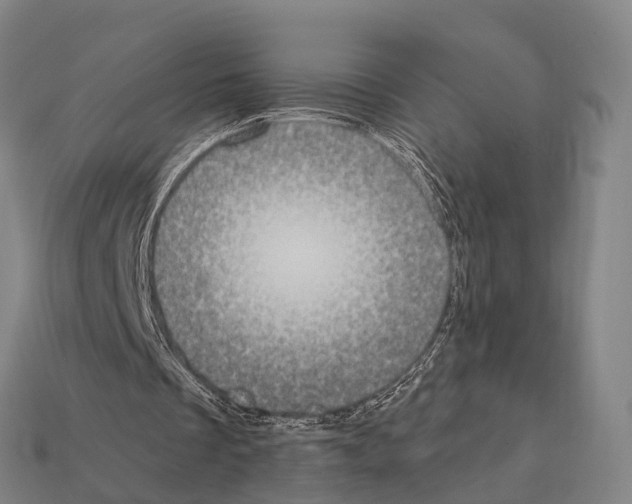 X0000111910289200909071202