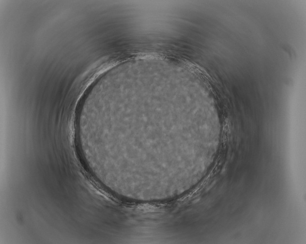 X0000111910290200909071202