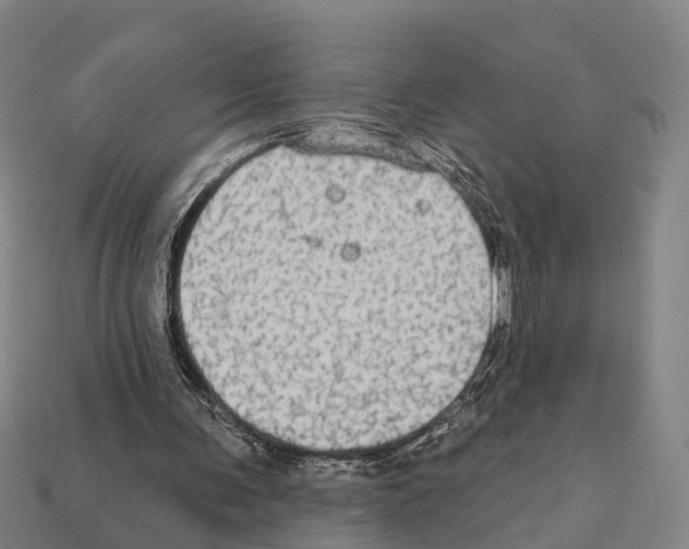 X0000111910291200909071202