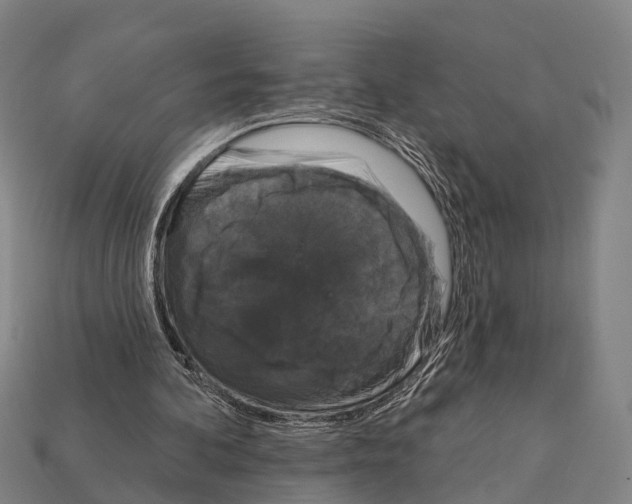 X0000111910292200909071202