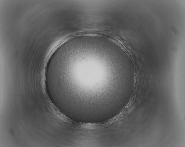 X0000111910293200909071202