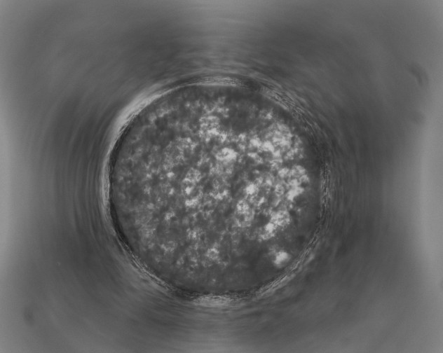 X0000111910294200909071202