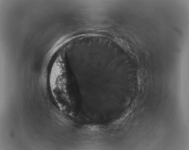 X0000111910295200909071202
