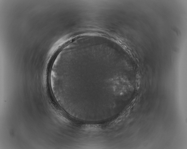 X0000111910296200909071202