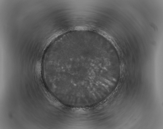 X0000111910297200909071202