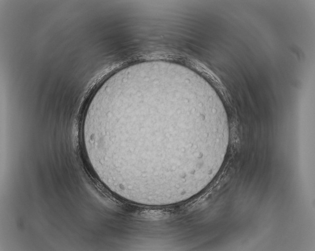 X0000111910298200909071202
