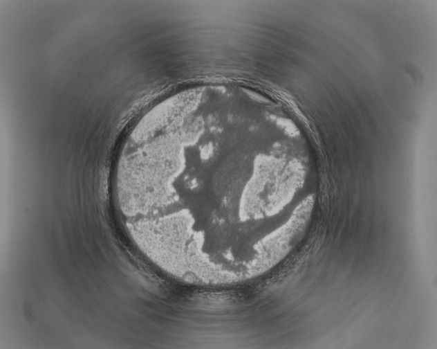 X0000111910299200909071202
