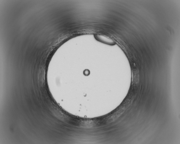 X0000111910301200909071202