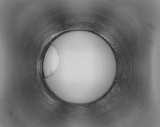X0000111910302200909071202