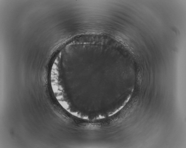 X0000111910303200909071202