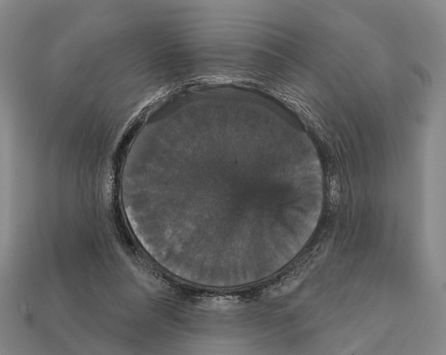 X0000111910304200909071202