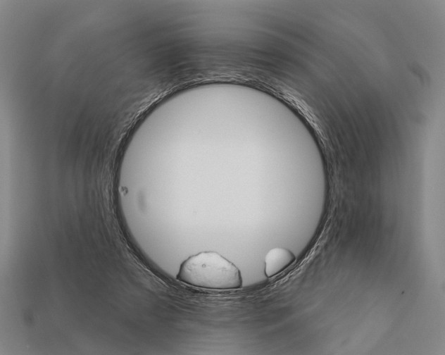X0000111910305200909071202