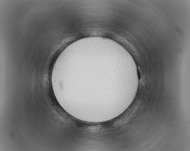 X0000111910306200909071202