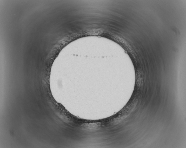 X0000111910307200909071202