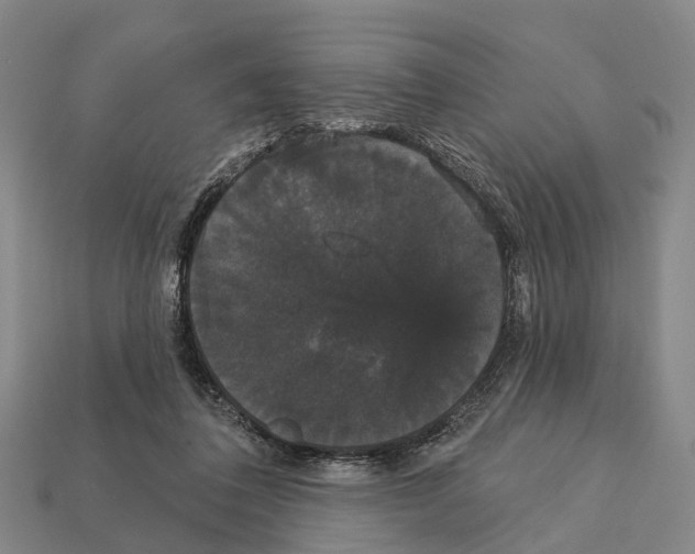 X0000111910308200909071202
