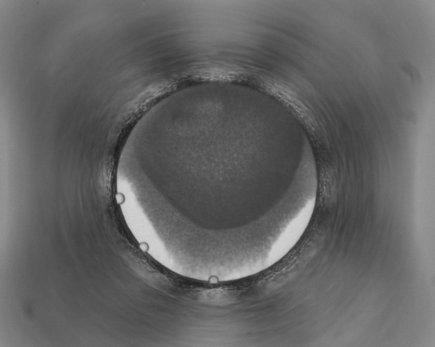 X0000111910309200909071202