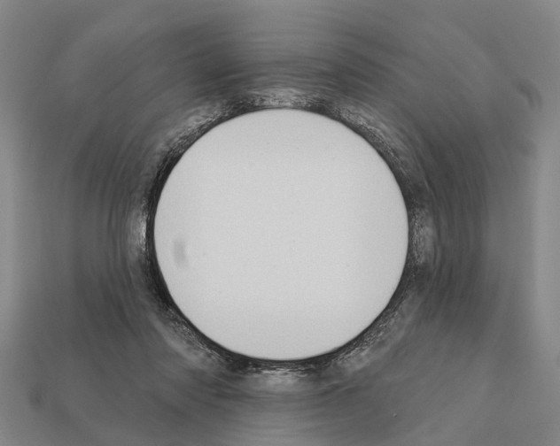 X0000111910310200909071202