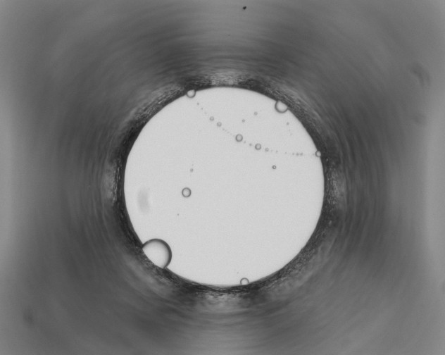 X0000111910311200909071202