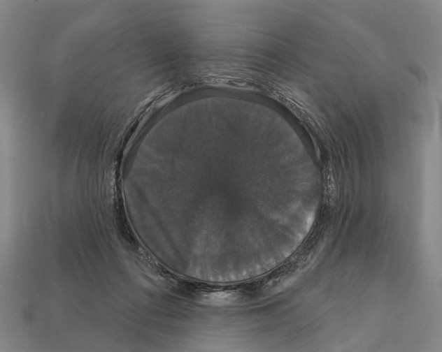 X0000111910312200909071202