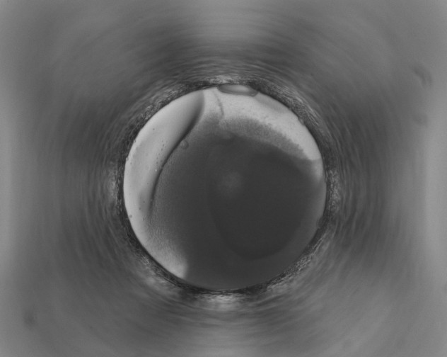 X0000111910313200909071202